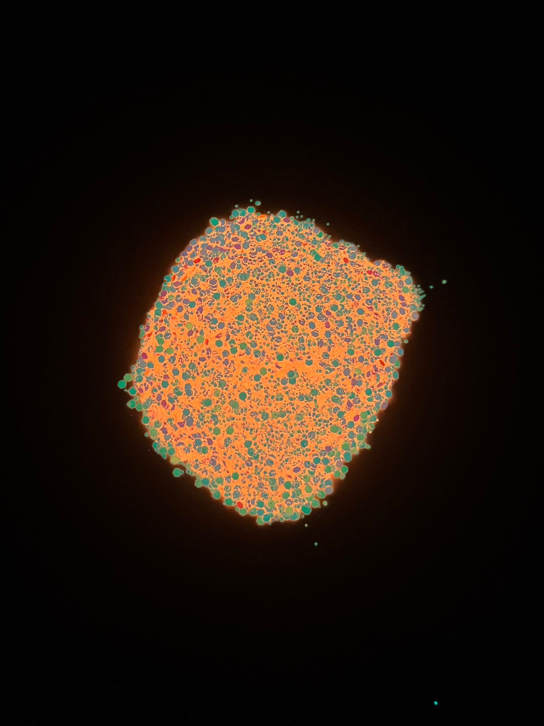Rising Sun glitter