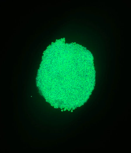 Spa Water green glow in the dark chunky mix glitter