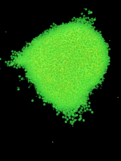 Yellow Fever Cocktail glitter
