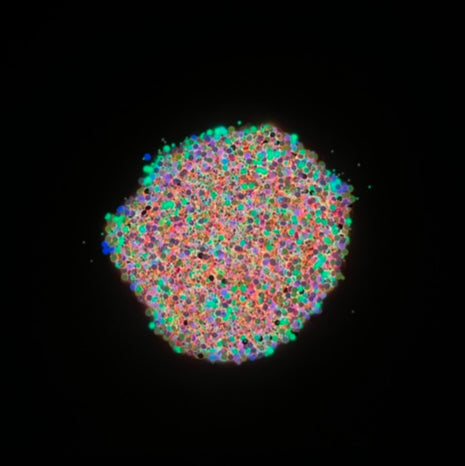 CST Designs Glow Billie Glow glitter