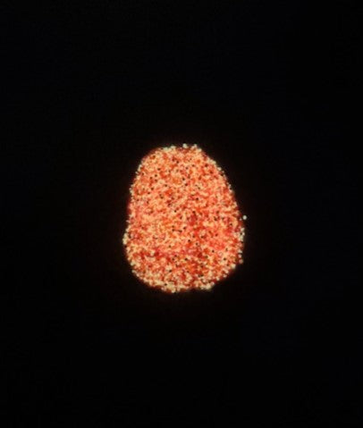 Pink Rabbit glitter