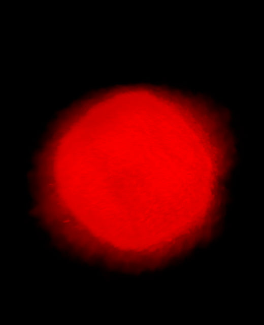 Scarlet Glow glitter