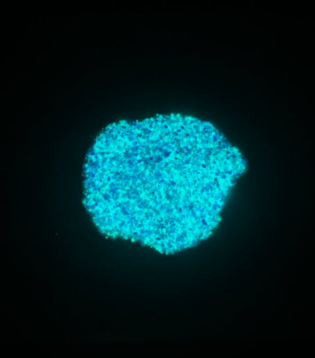 Glowtini glitter