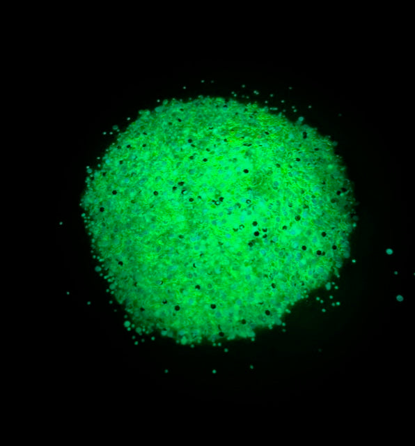 Magic Hour green glow in the dark chunky mix glitter
