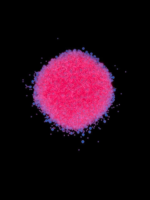 Pink Malibu glitter
