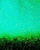 Jack Frosties glitter