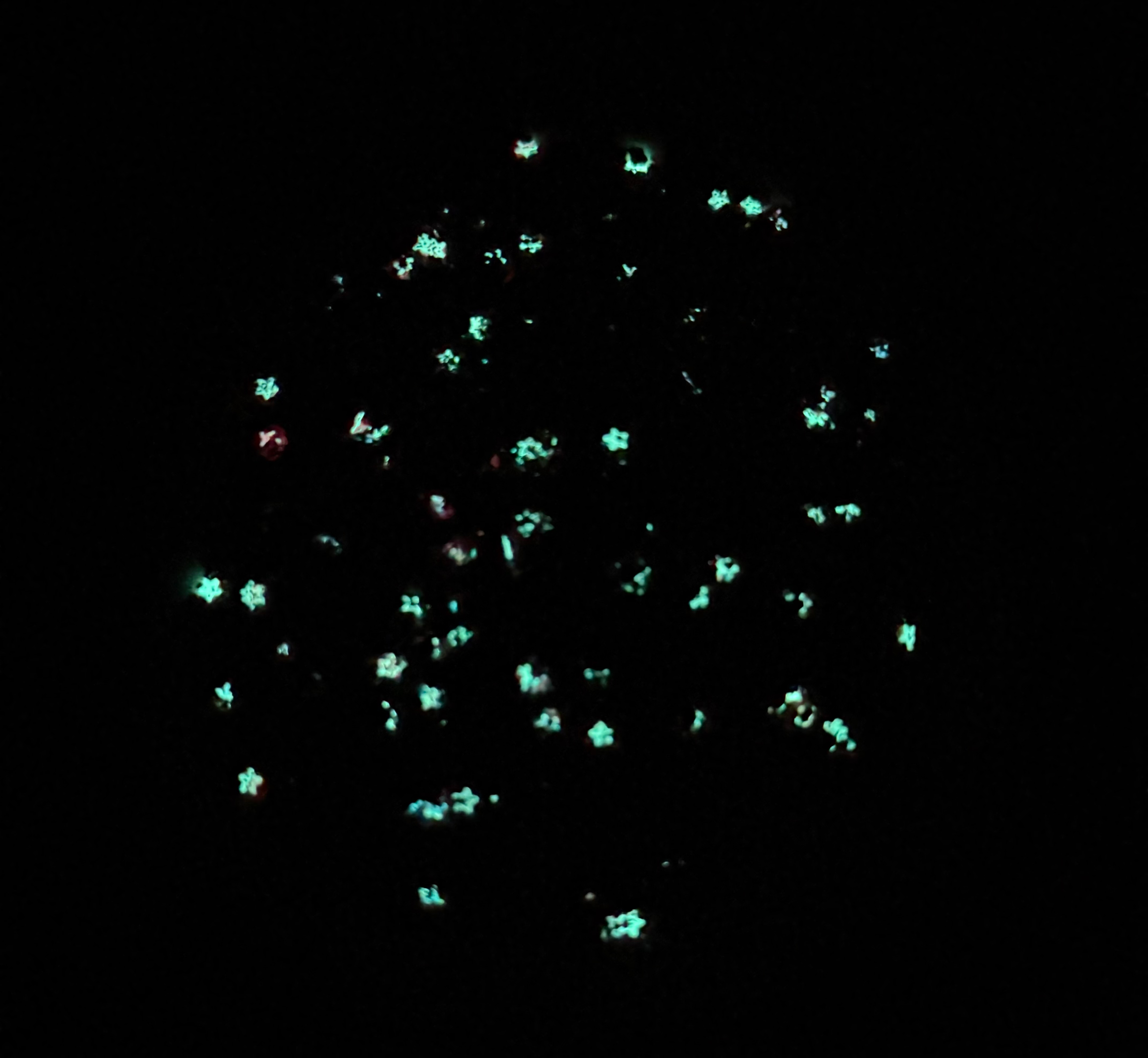 FFS~Aurora glow in the dark glitter