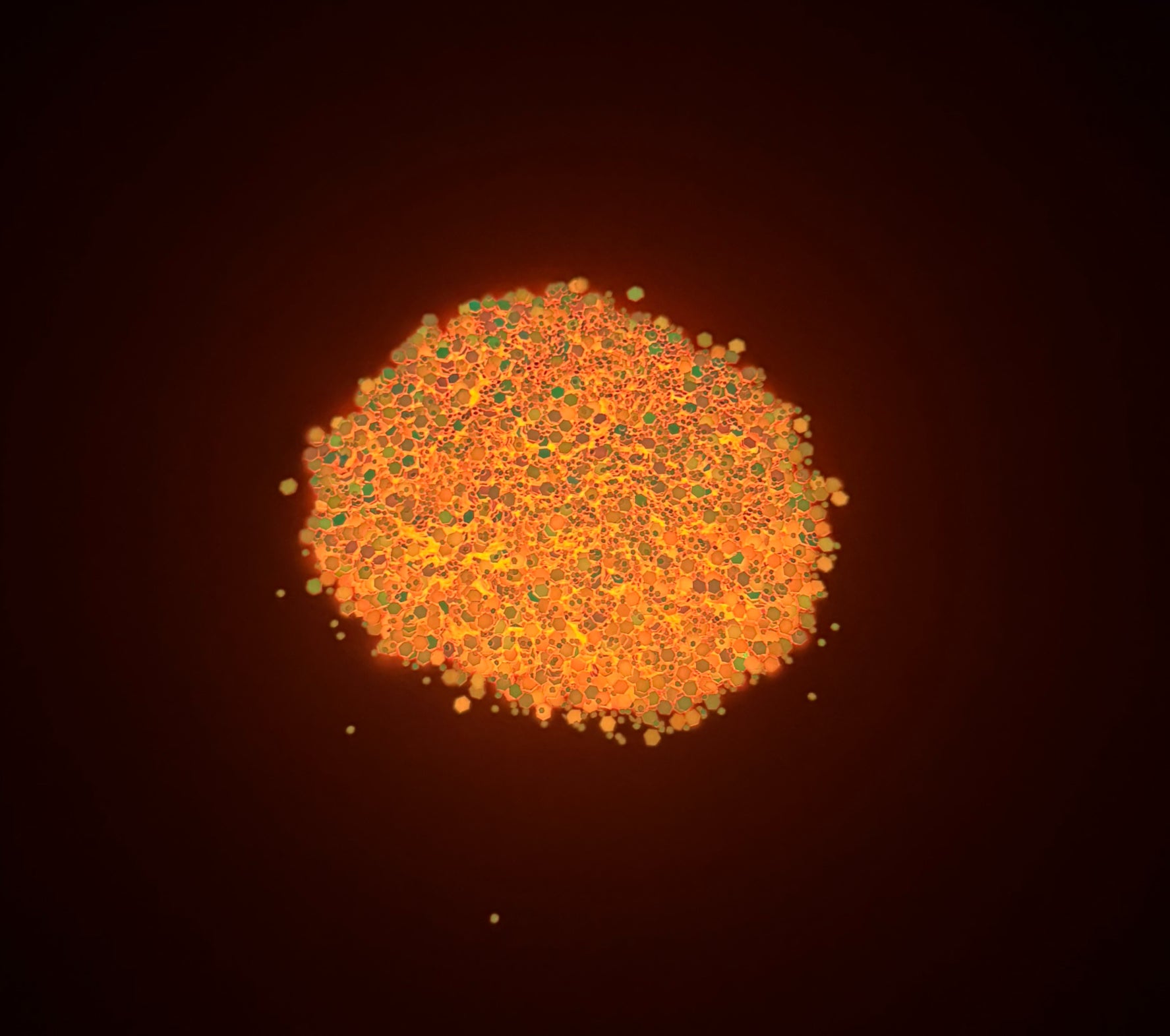 Neon Paloma orange glow in the dark chunky mix glitter