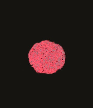 Porange glitter